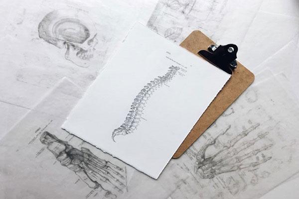 Sketch of a spine